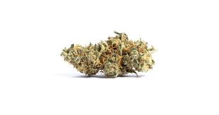 Cherry Industries - Bulk Flower  (Outdoor) - Motor City Gazz - 1/8oz in Waterford Twp