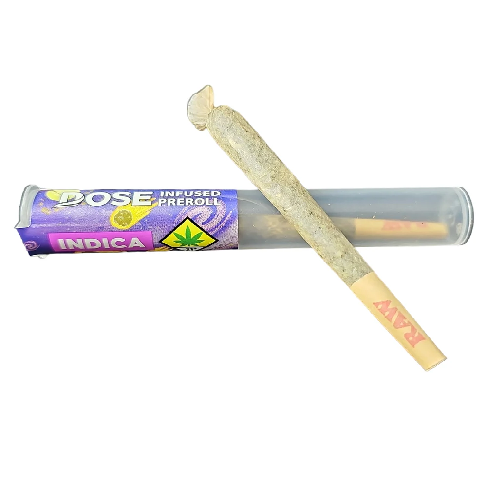 Dose Blueberry Muffins (I) INF JT 1g