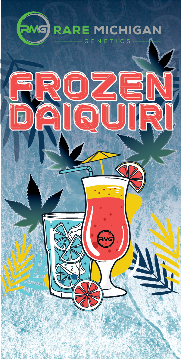 Frozen Daiquiri 28pk