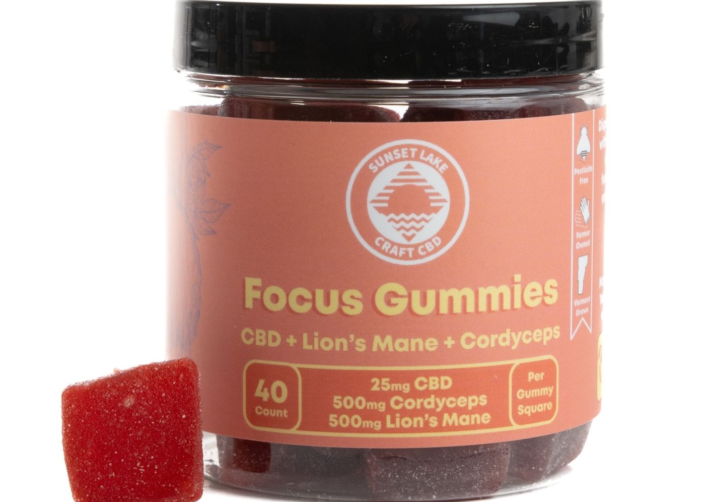 SL CBD | Focus Gummies 40pk CBD + Lion's Mane + Cordyceps