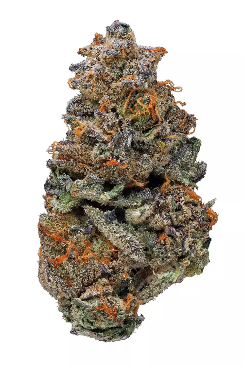 Pomegranate X GSC | 28g