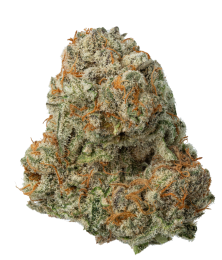 Zips | Strawberry Guava