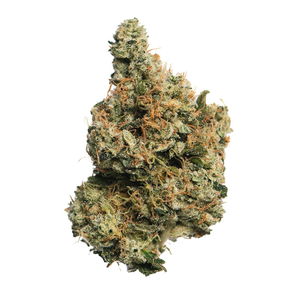 Chem 91