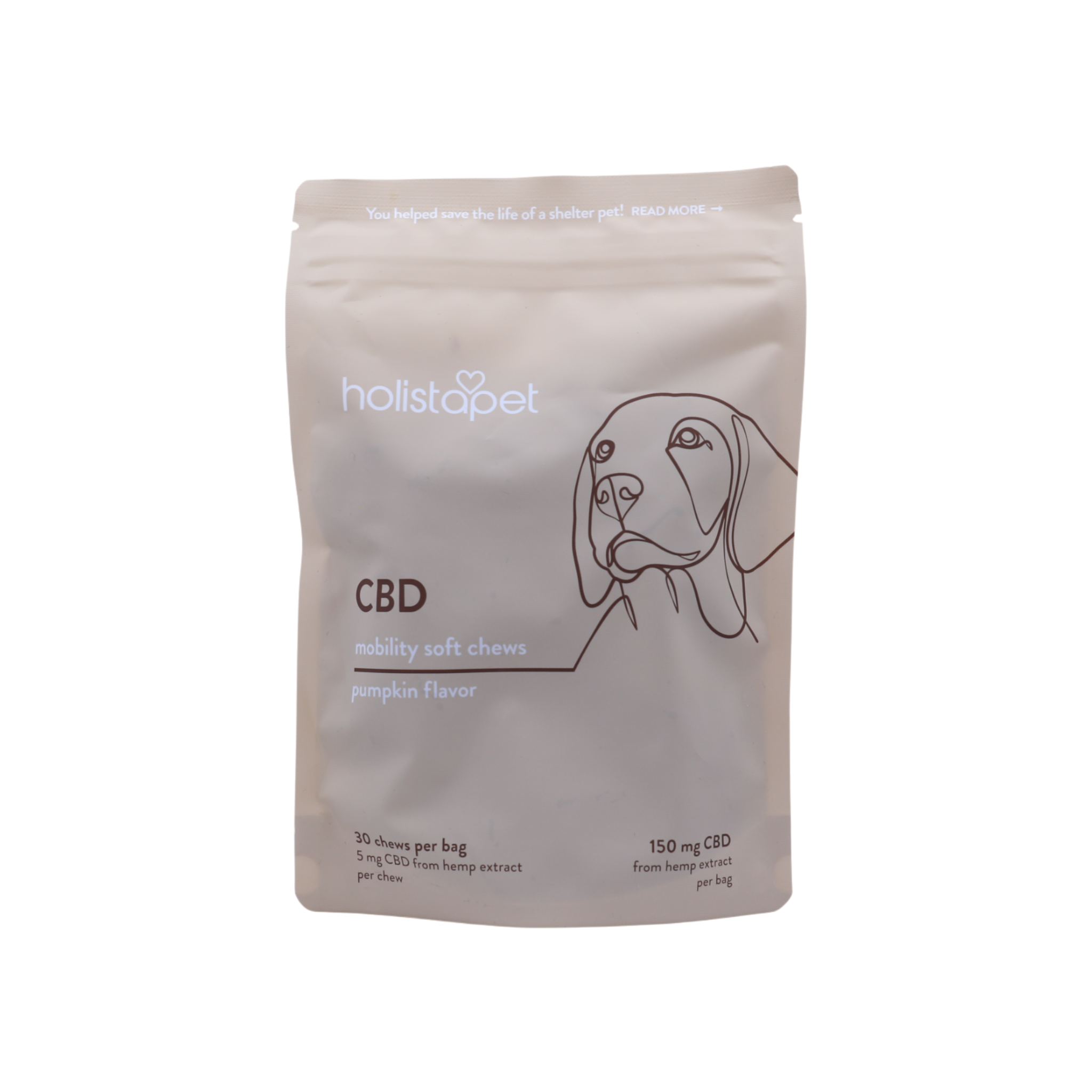 Mobility Soft Chews Pumpkin Flavor