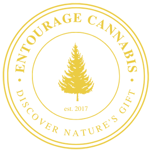 CBDISCOVERY - INFUSED PREROLL - 0.75G - THIN MINTZ x GOLDEN CRUMB