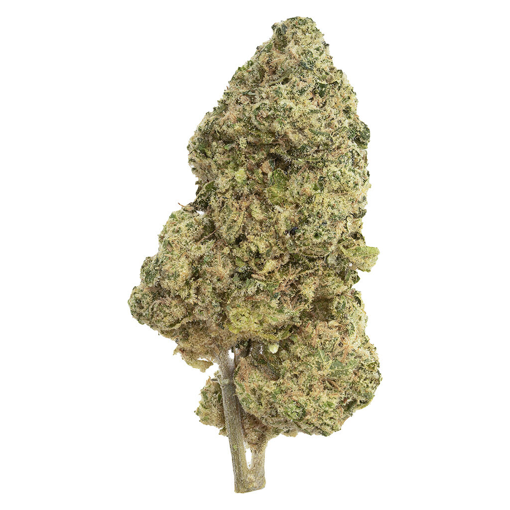 The Republic - Black Label - Indica