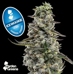 Garden Greens Flower 7g- Ice Wookie