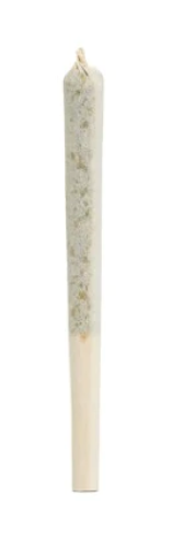 SIMPLY BARE-BC ORG HARLEQUIN PR-5X0.3G
