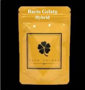 Bacio Gelato Milled Kief Infused
