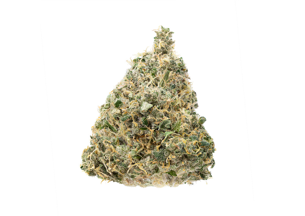 Cape Leche Flower: 3.5g