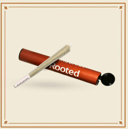 Sherbet Honey 1g preroll - Rooted