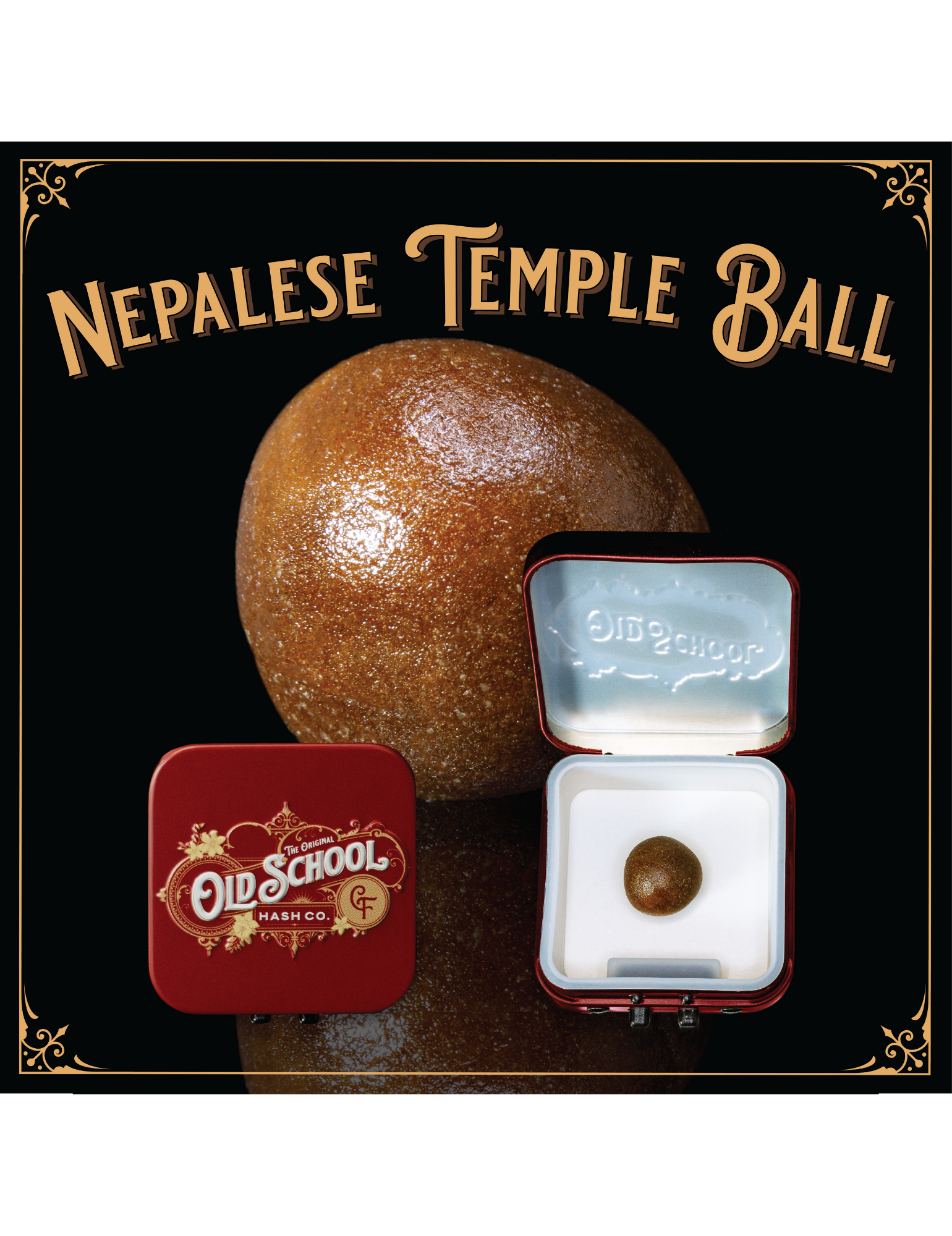 OSHC | Grape Gas | Temple Ball | 1g | Indica