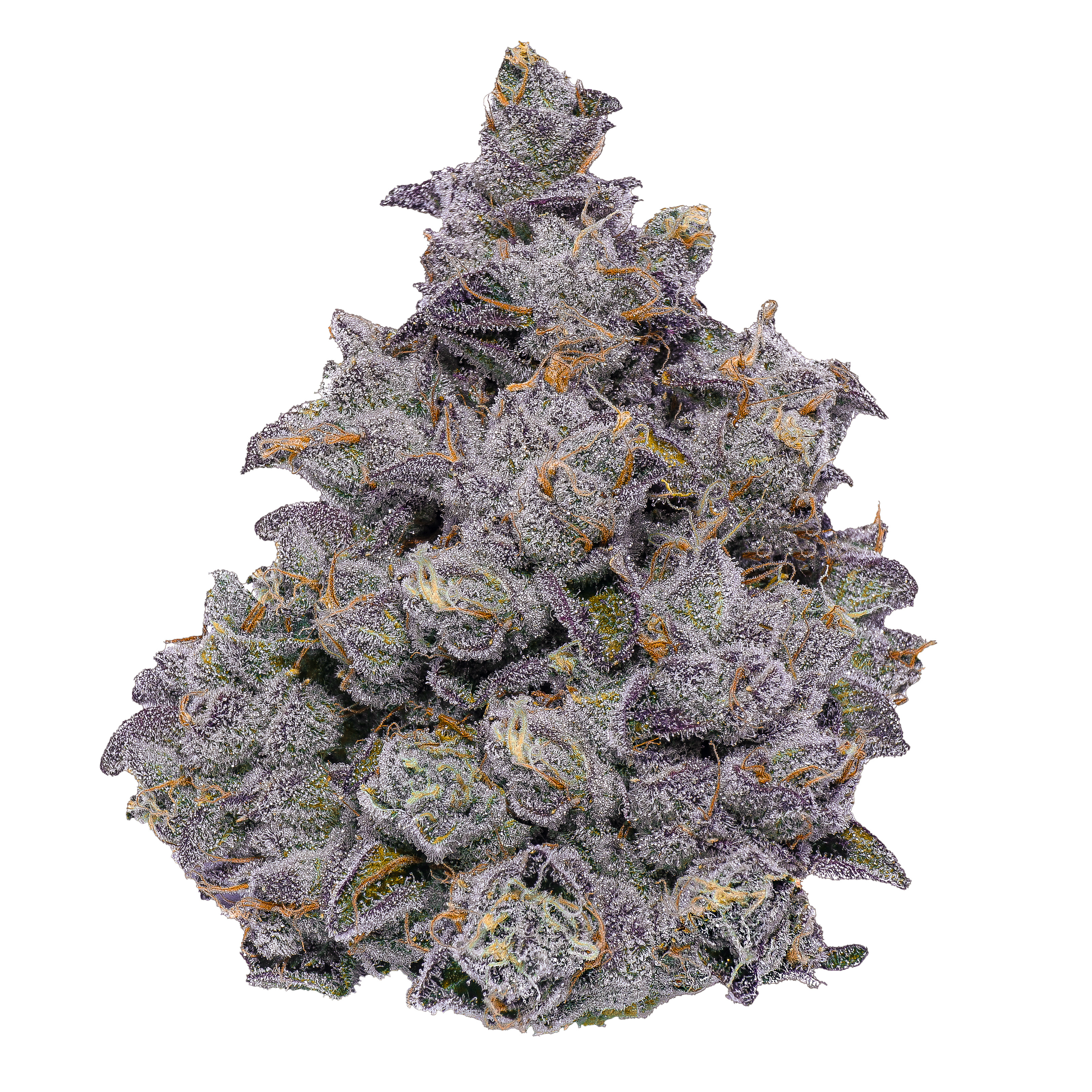 Plat. Cherry Gelato Deli