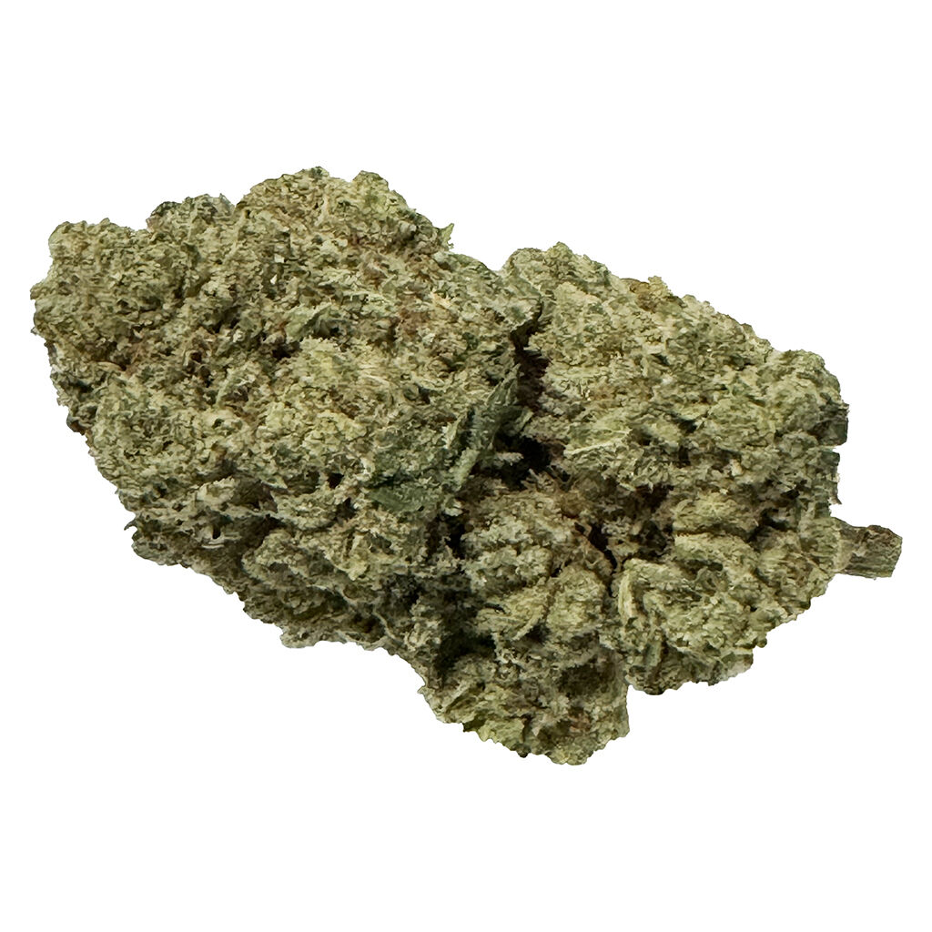 Fruit Drops - Mango Tango - Hybrid
