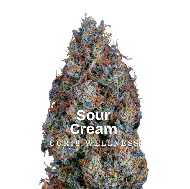 CURIO EVERYDAY Sour Cream 3.5g