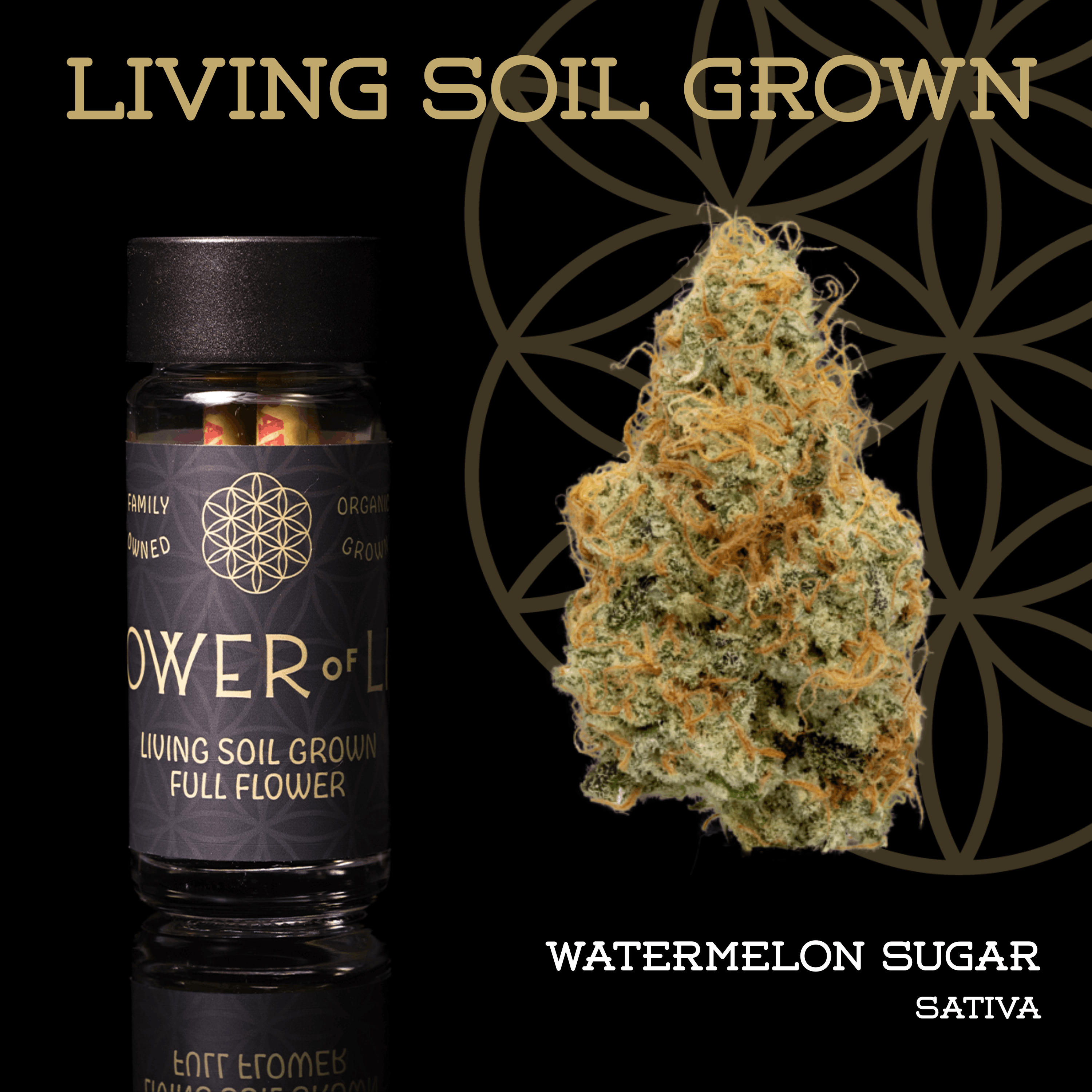 Watermelon Sugar | Pre-Roll 5-Pack | 2.5g | Living Soil