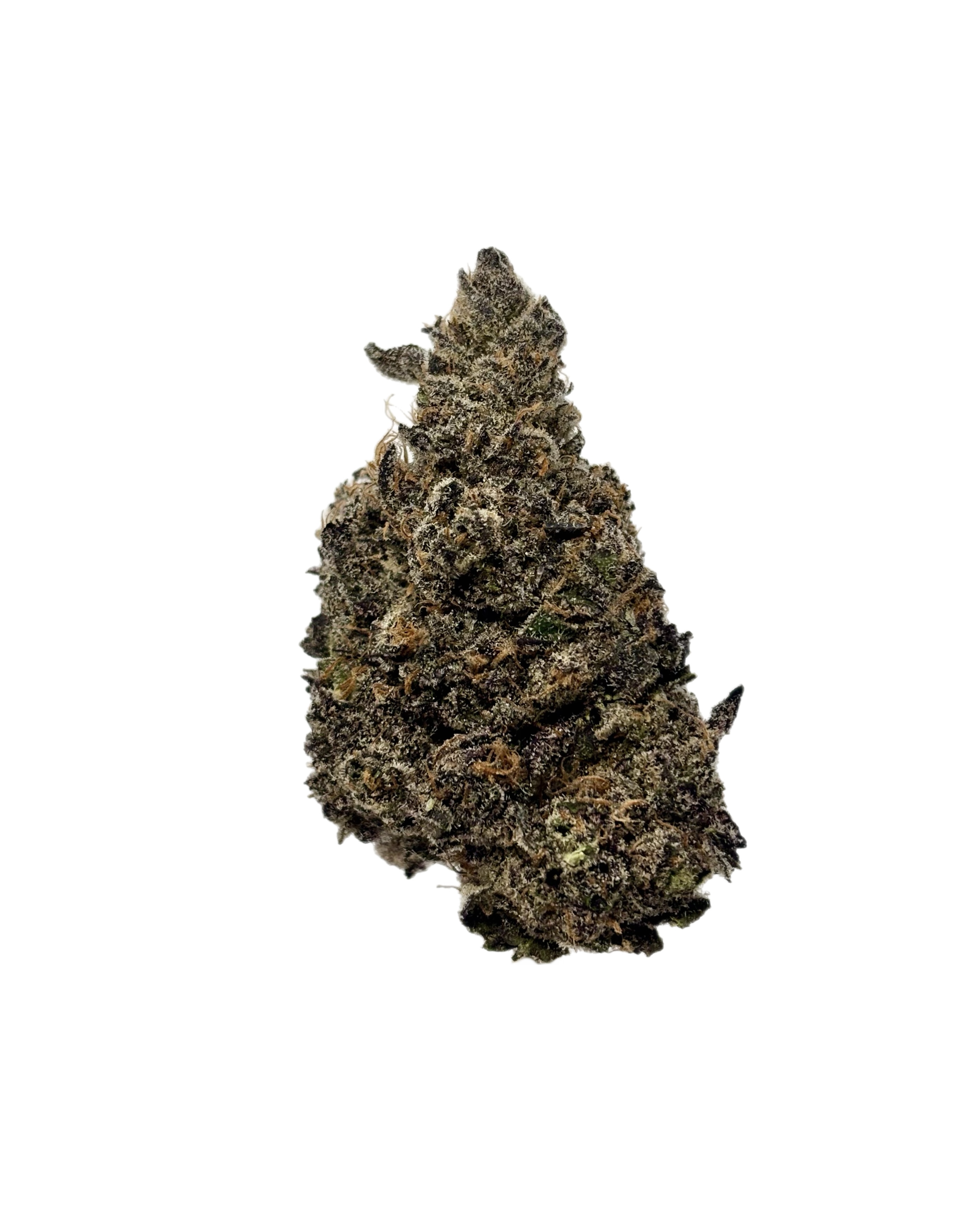 Classic Roots | Sherb Gotti | Bulk Flower | Platinum Tier