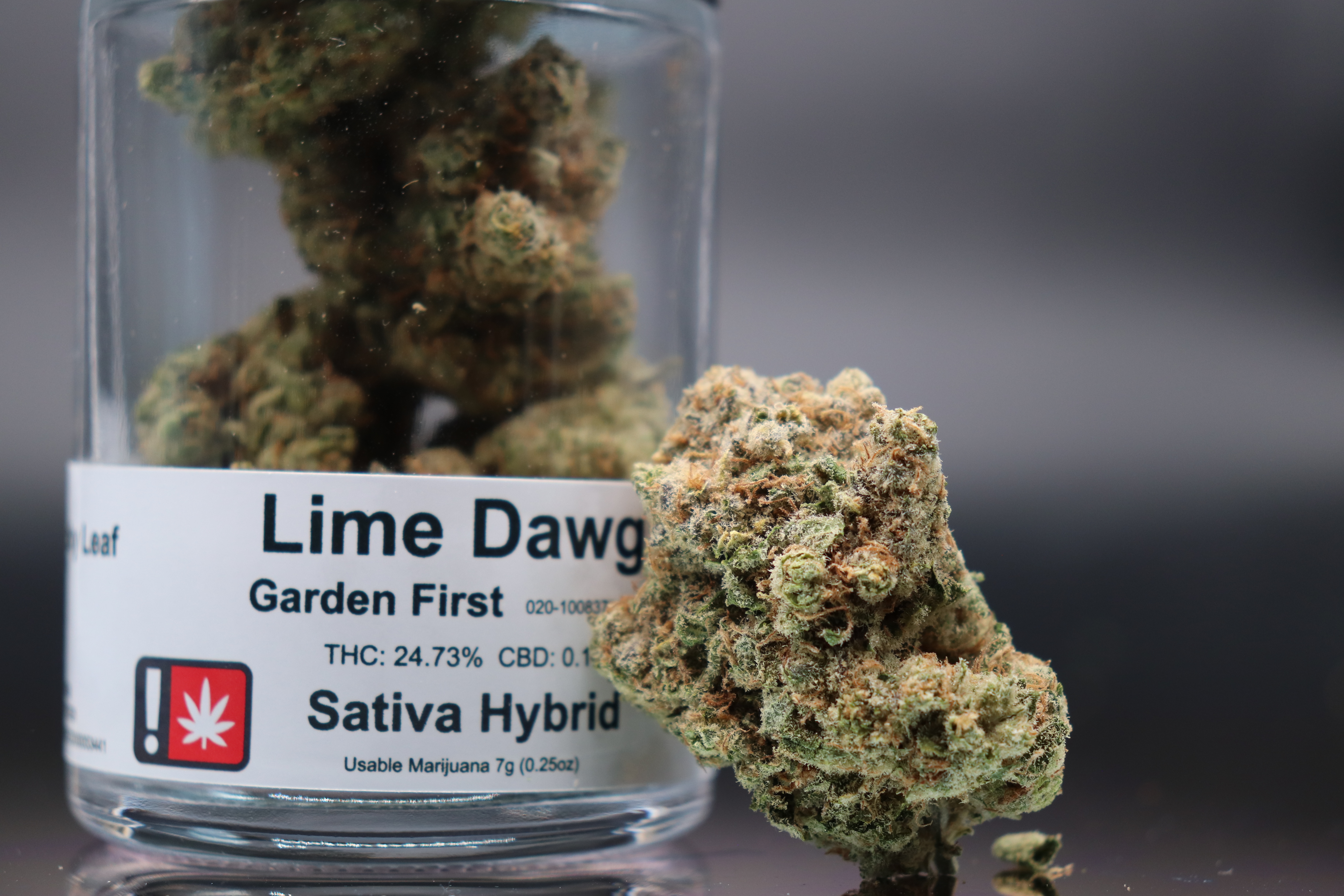 Lime Dawg by