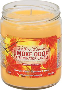 Smoke Odor - Fall 'N' Leaves Candle - 13oz