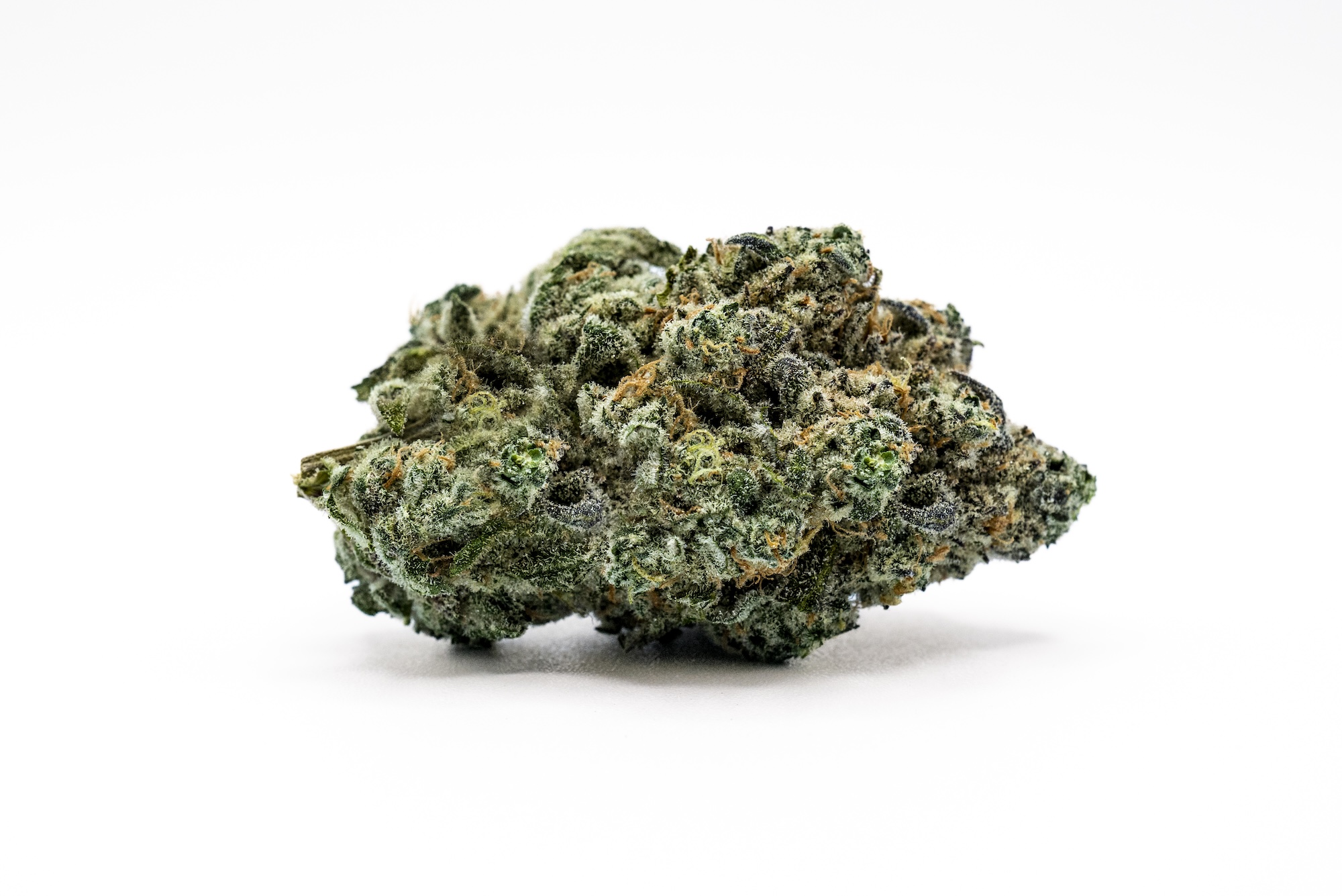 Hypnotik: Flower