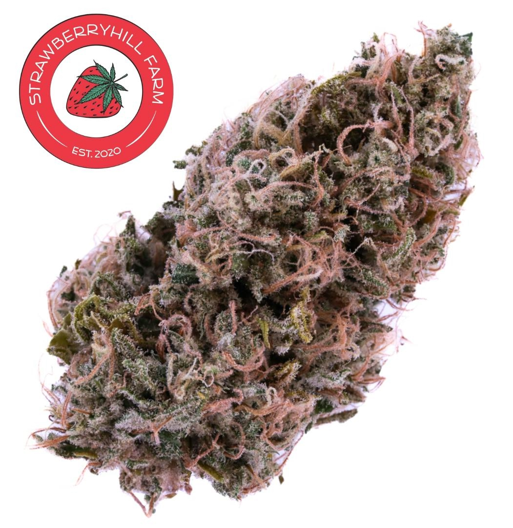 Super Space Candy | CBD Hemp Flower | 3.5g