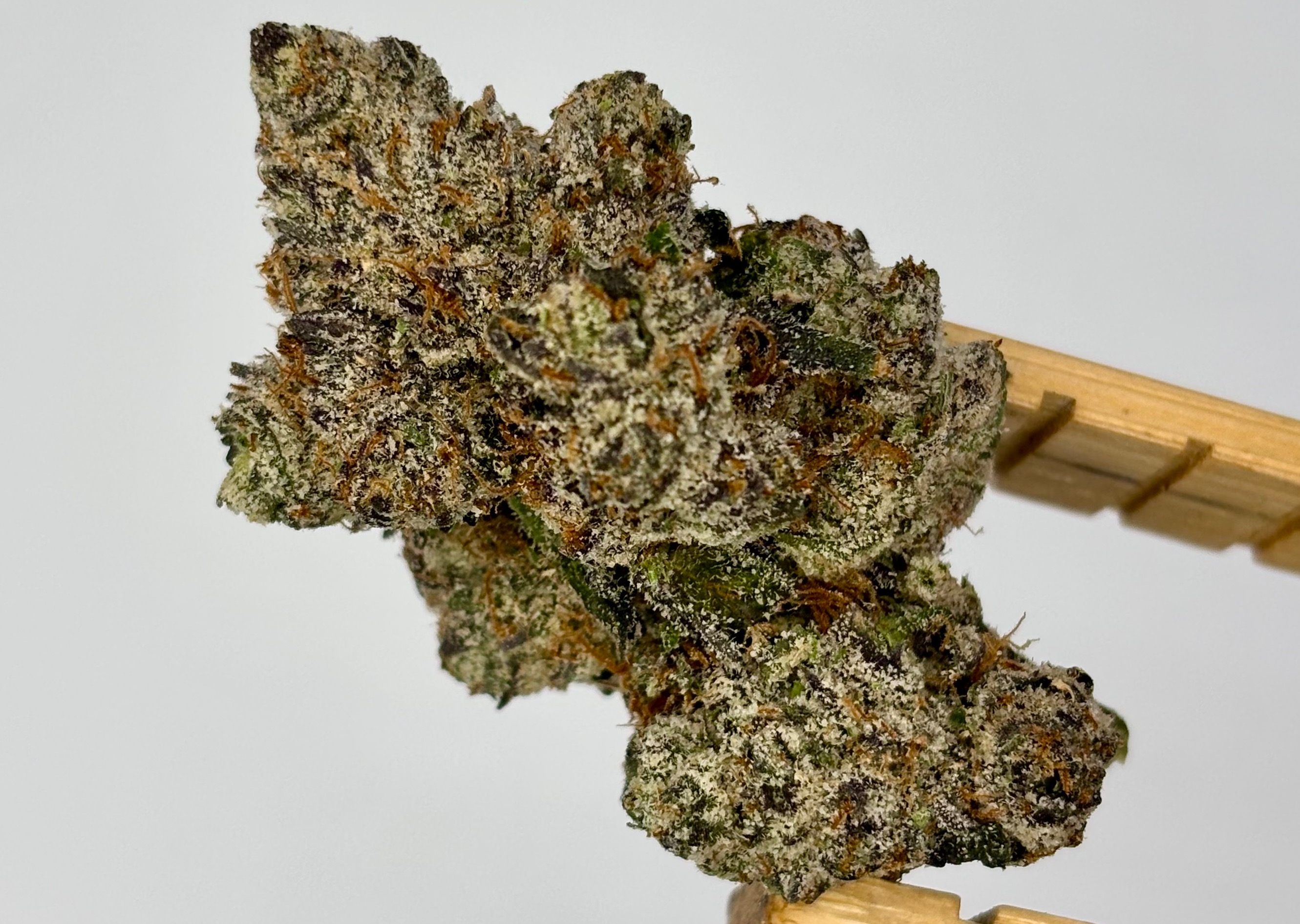 TruSmoke | Zorroz | House Pre-Pack | 28g