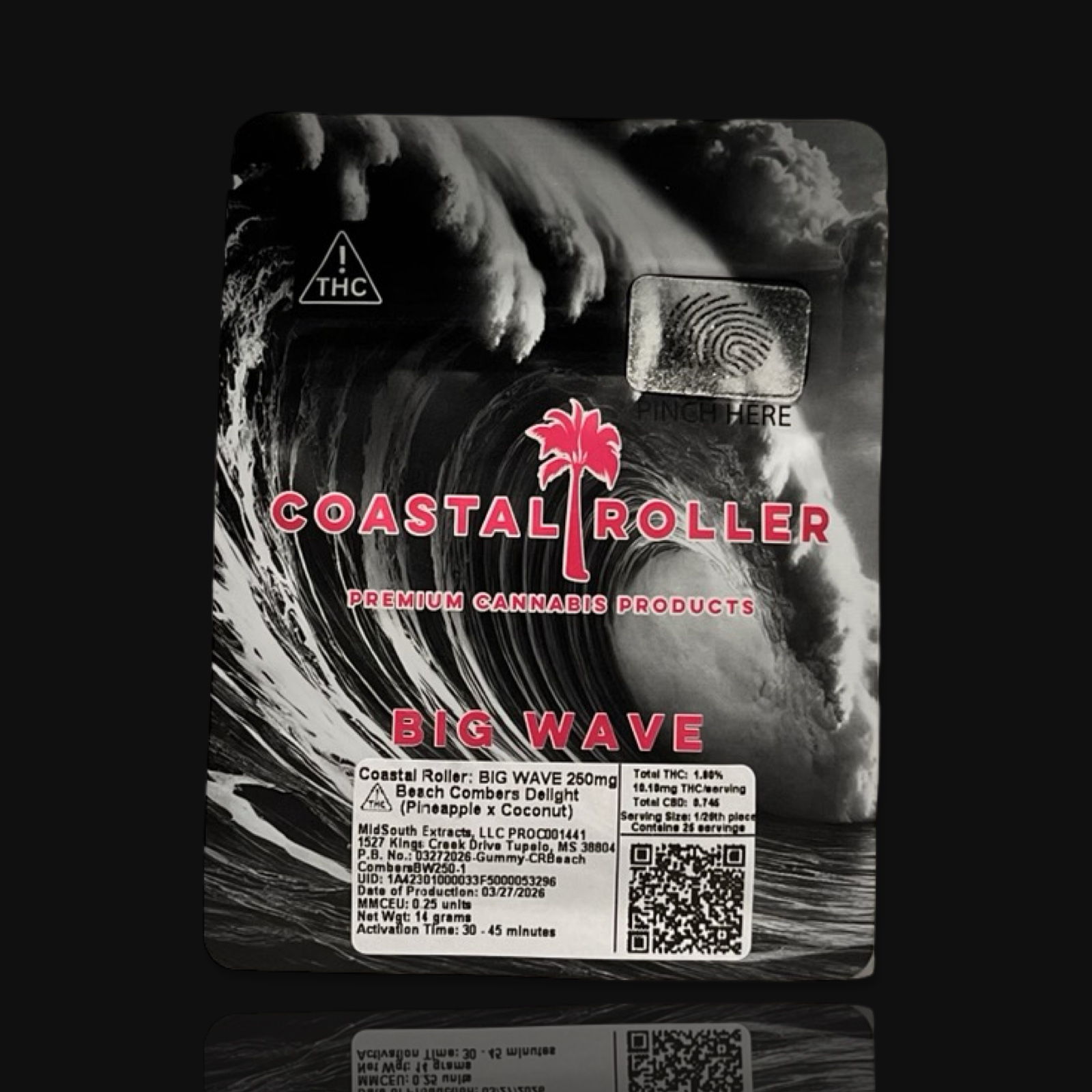 Beach Combers Delight Big Wave
