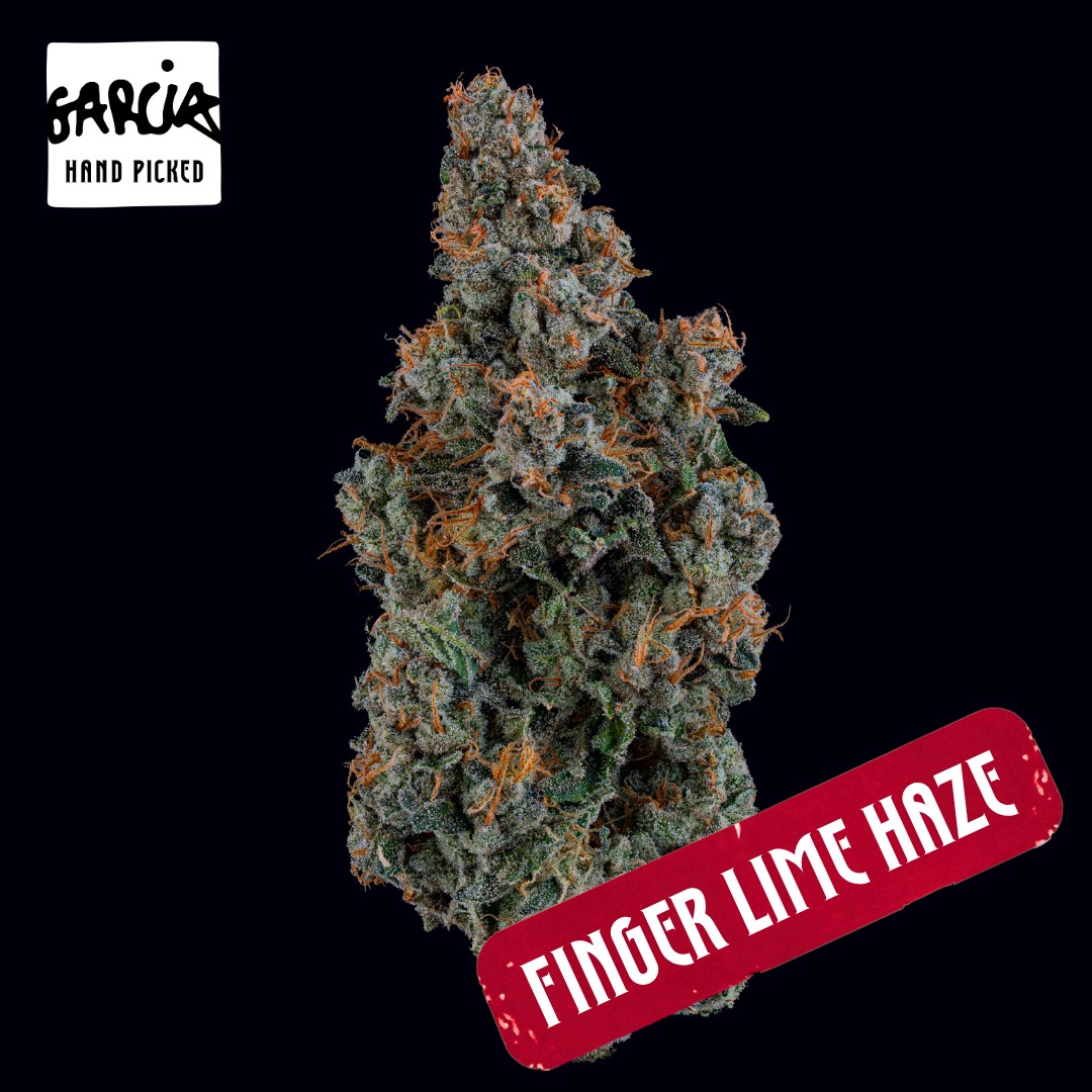Finger Lime Haze