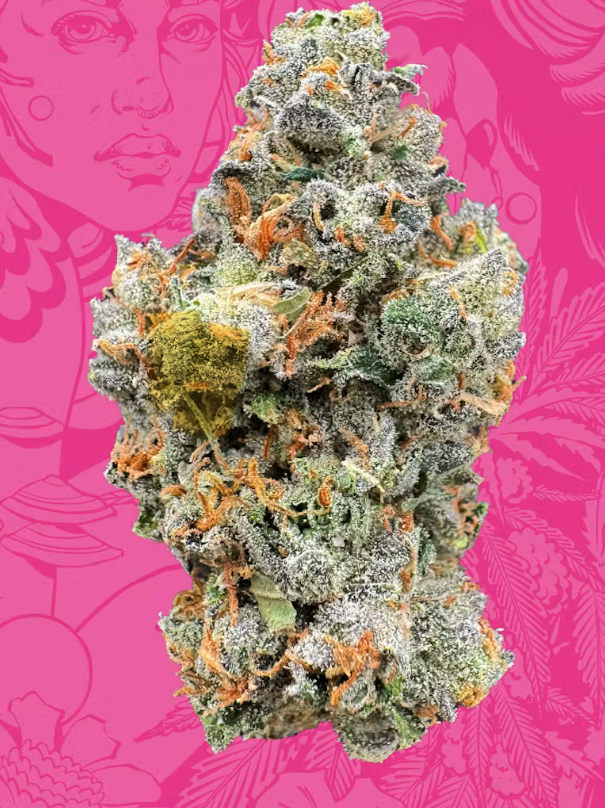 Sapura Bulk - Canal Street Runtz - Indica