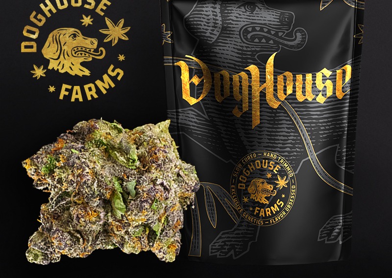 Doghouse Buds - California
