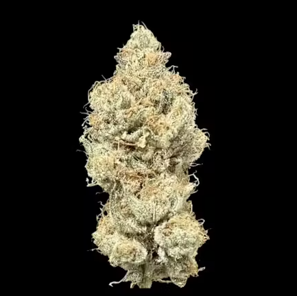 (2) DC's Finest: Jokerz (H-I)