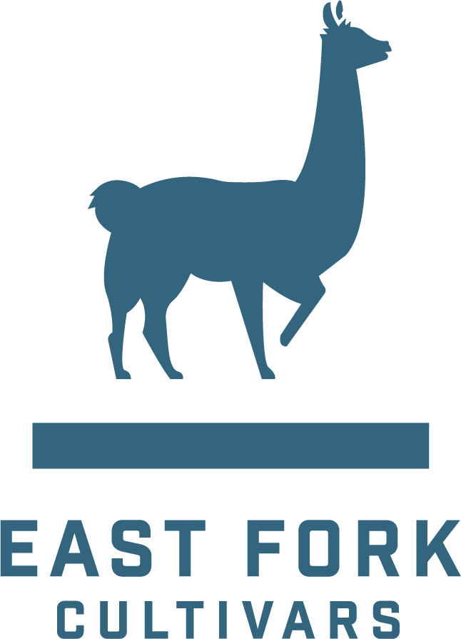 East Fork Cultivars: HIGH THC Indica Chocolate Bar - 100mg - 40g