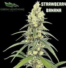 Green Lighting | Flower | Strawberry Banana | Hybrid - 3.5G