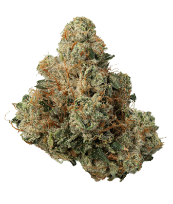 Zips | Skywalker OG