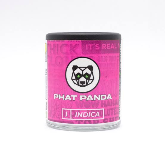Rainbow Belts Platinum Line Phat Panda CASE-5