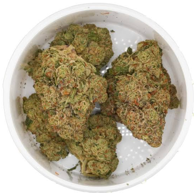 SUNMED SDG OG 10g