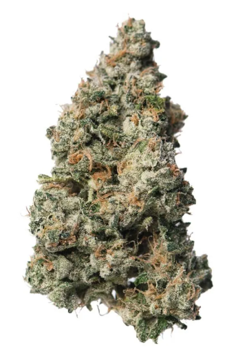 WILDFLOWER Black Maple 3.5g