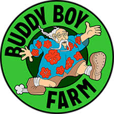 .5g Durban Poison PreRoll by Buddy Boy