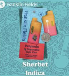 FRANKLIN FIELDS PENJAMIN | 1G LIVE RESIN DISPOSABLE | SHERBET
