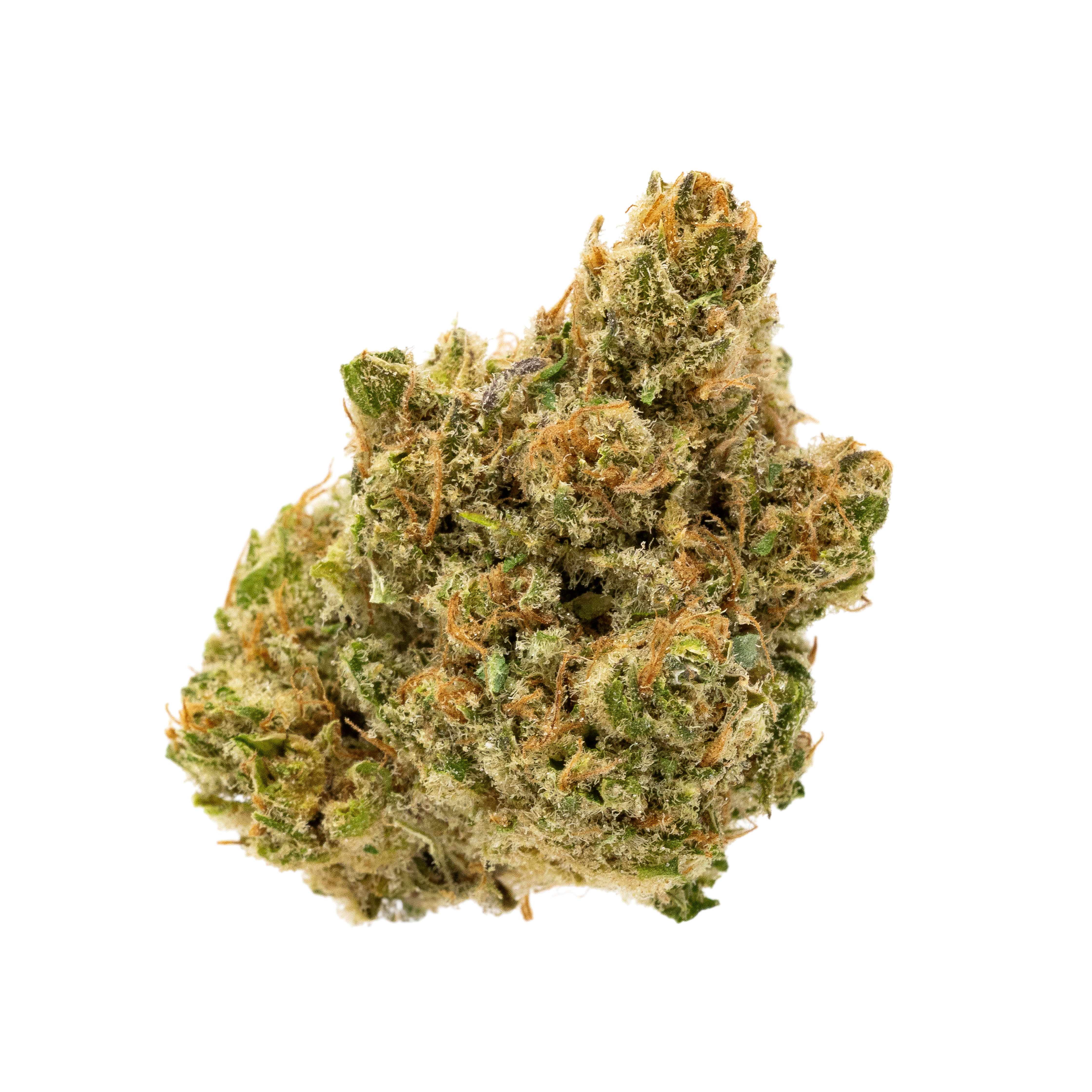 Electric Blanket CBD