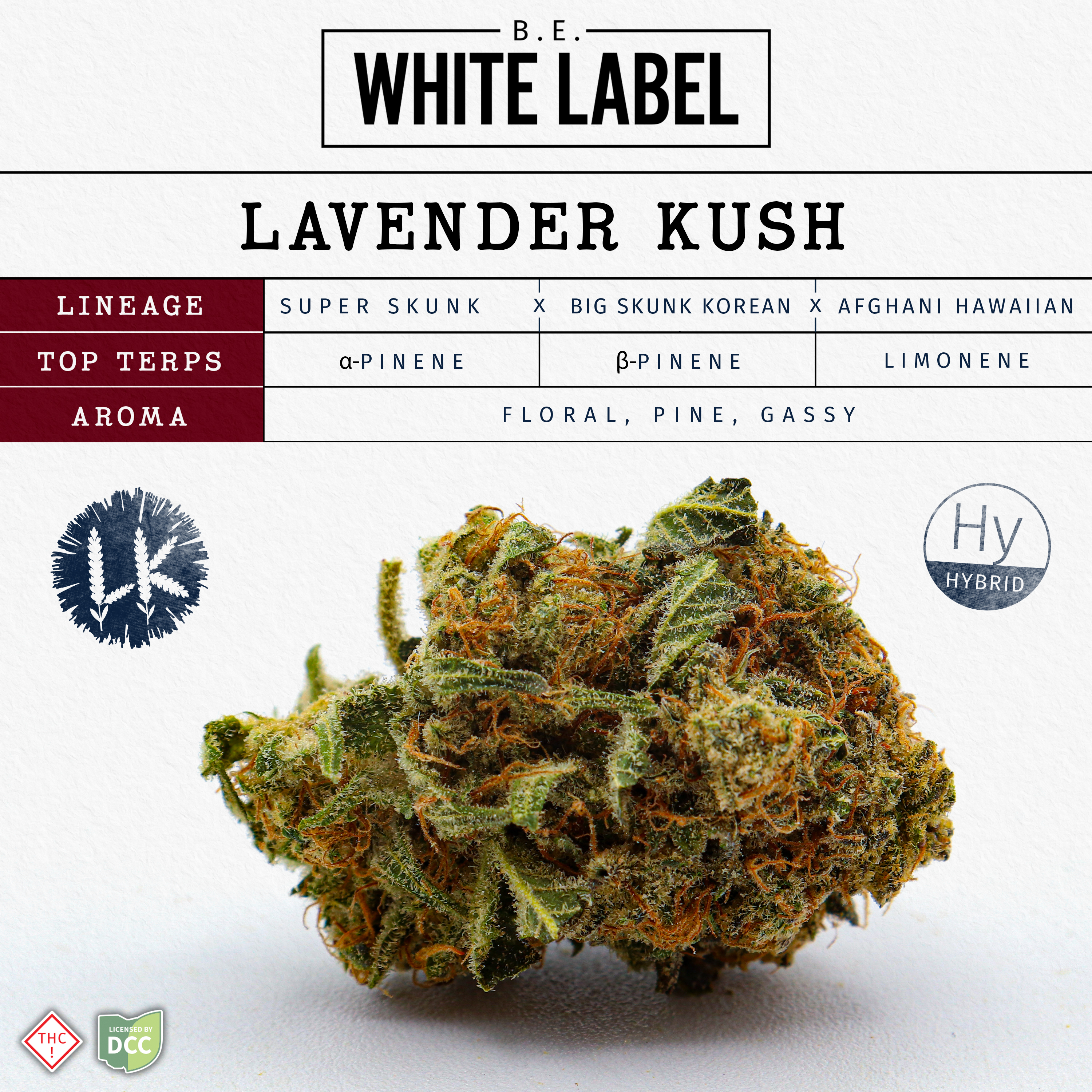Lavender Kush