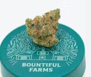 Papaya Slapper | 3.5g