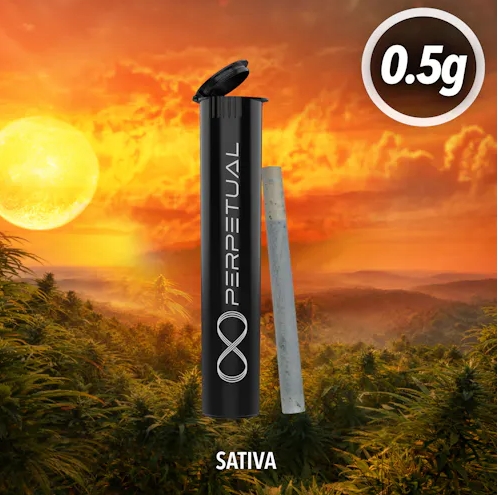 Chocolope | 0.5g Pre-Roll
