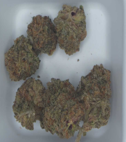 14g | Code Red