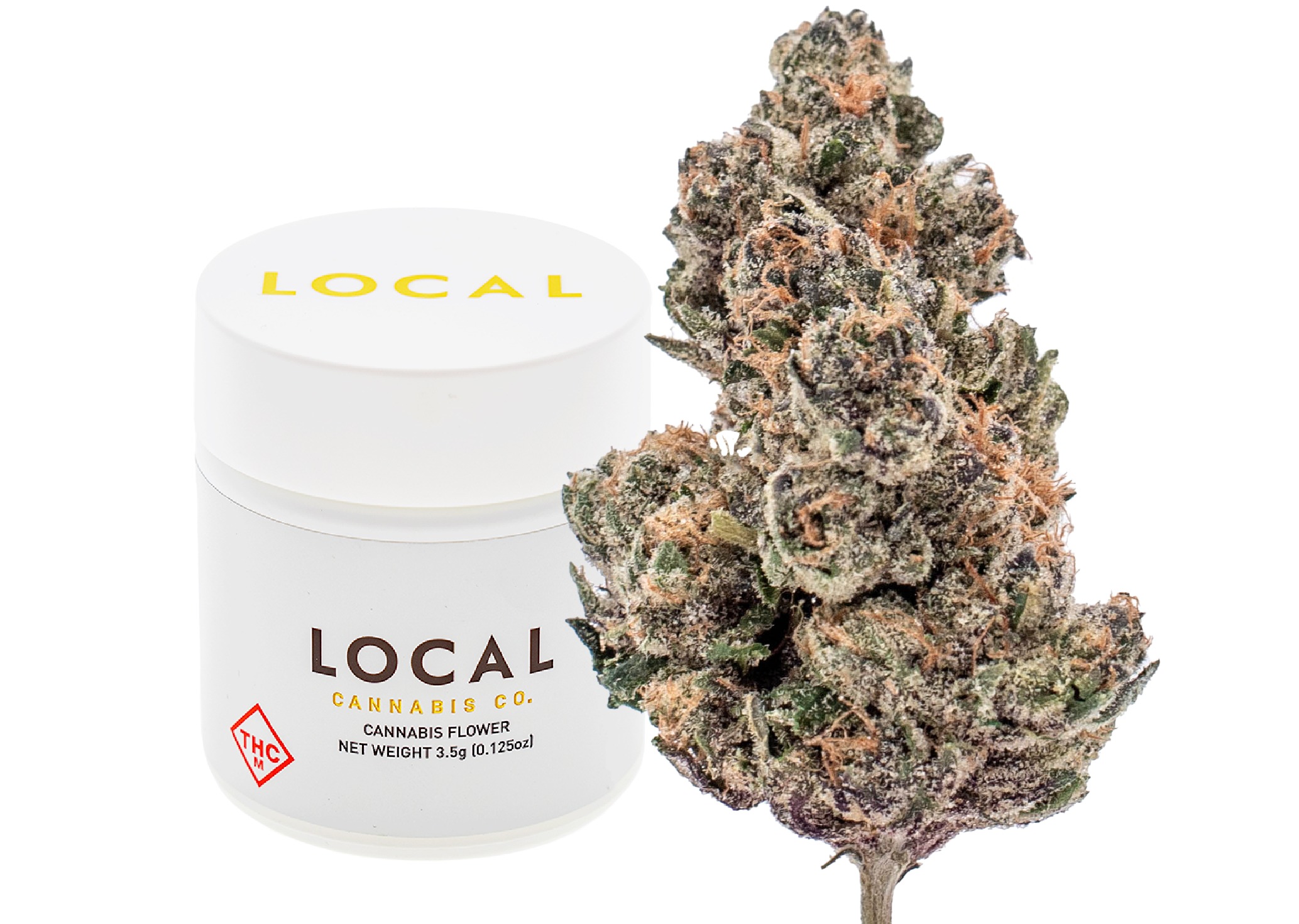フラワー・ガーデニング Agave montana 'Lime Flash' 57 Local - Green Flash - 3.5g - Flower | Local Cannabis Co. - Kansas City
