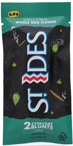 Hybrid - Everyday Blunts 2PK