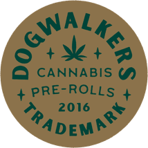 Chem N' Cookies Stay Pre-Roll 1g