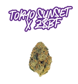 Fade Co Prepack Tokyo Sunset x Z$BF