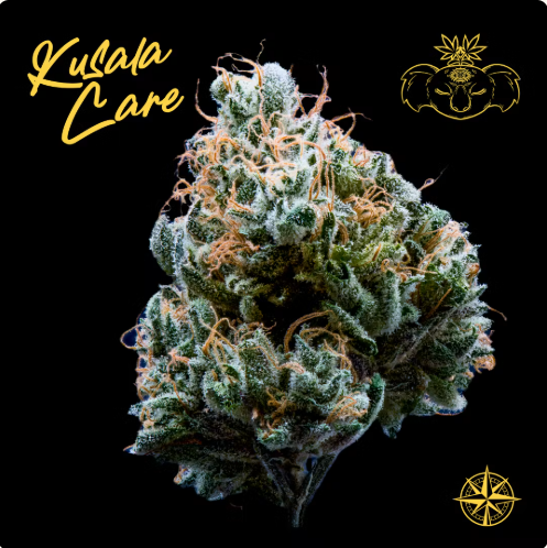 Kusala Care - Electric Lime Colada - Bud