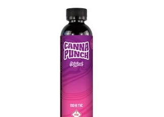 Canna Punch Grape